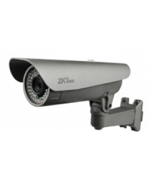 IP Cameras