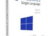 Description: Microsoft Windows 8.1 SL 32/64 Bit